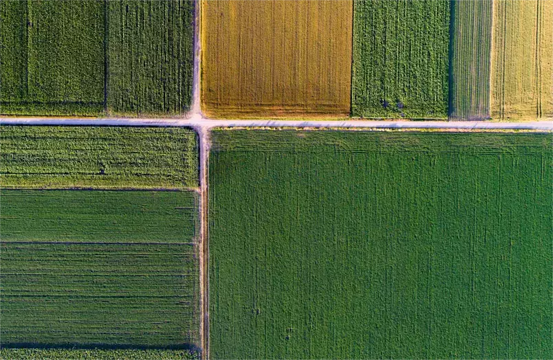 Abstract-geometric-shapes-of-agricultural-parcels-of-different-crops-in-yellow-and-green-colors.-Aerial-view-shoot-from-directly-above-field