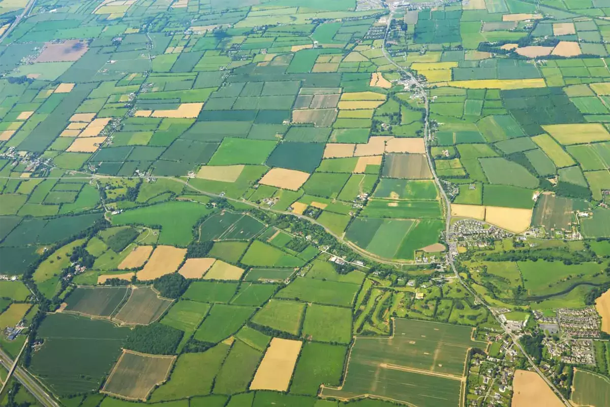 Aerial-view-of-green-pattern-fields