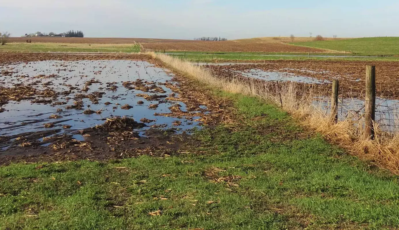 Farmland showing flooded areas and prevented planting. Horizon with fields in the distance