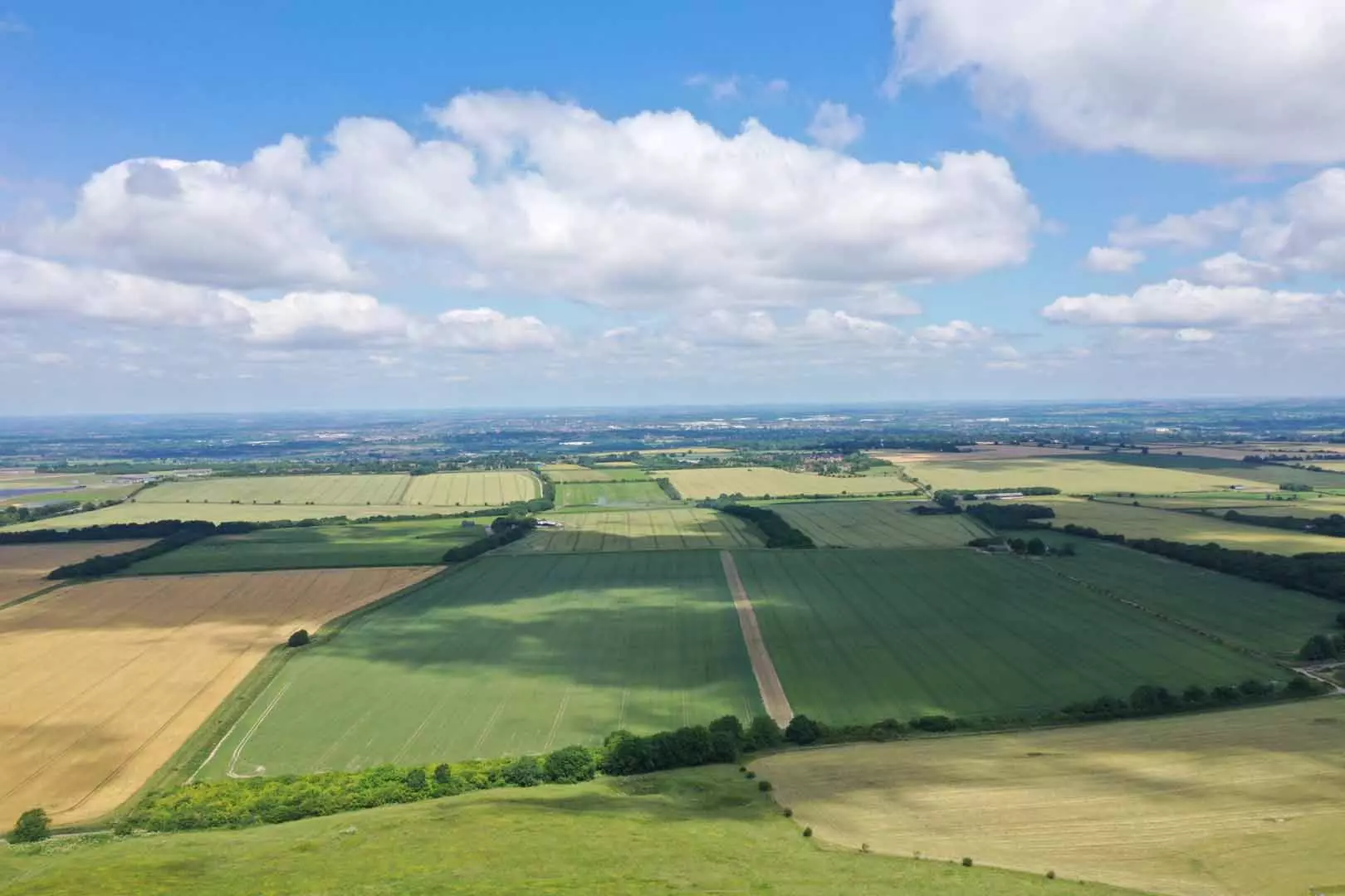 Green fields on a summer's day