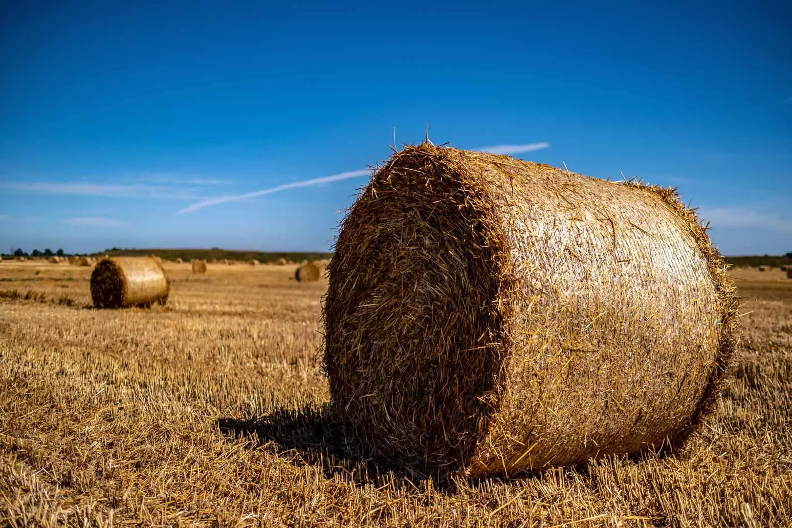Straw bales on farmland with blue clear sky straw bales on farmland
