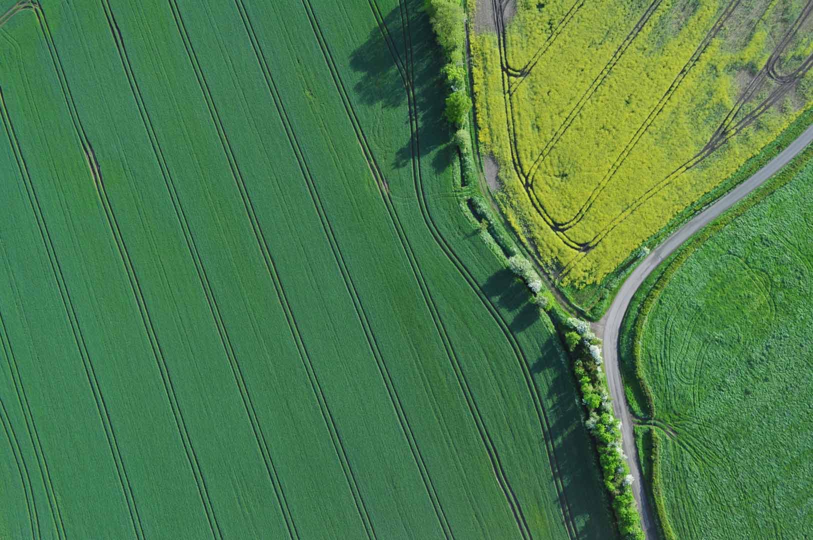 patchwork farm land plowed fields in the UK countryside view from above in a hot air ballon or drone