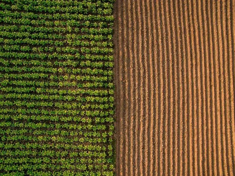 Aerial view ; Rows of soil before planting.Furrows row pattern in a plowed field prepared for planting crops in spring.Horizontal view in perspective.