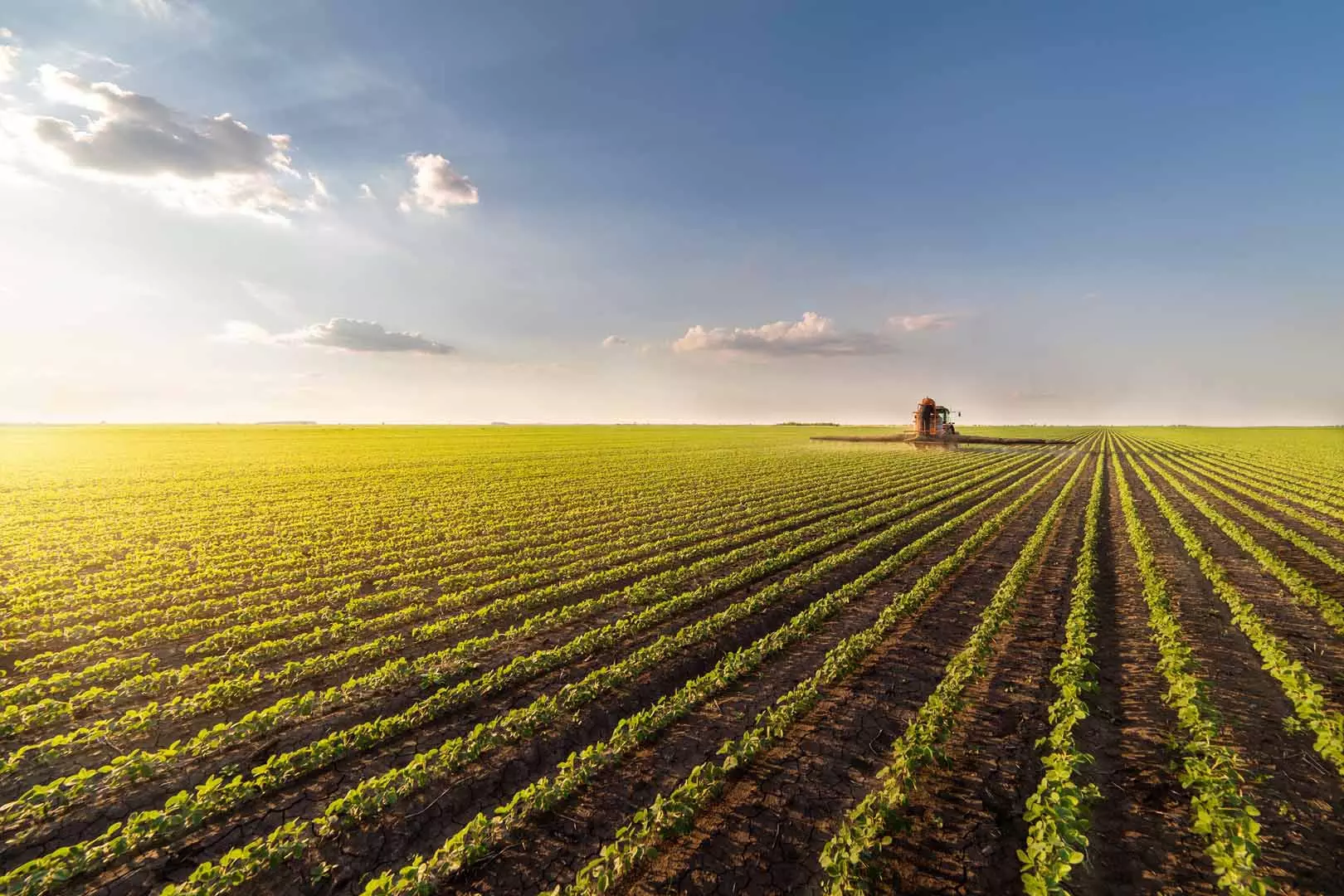 Tractor spraying pesticides on soybean field with sprayer at spring